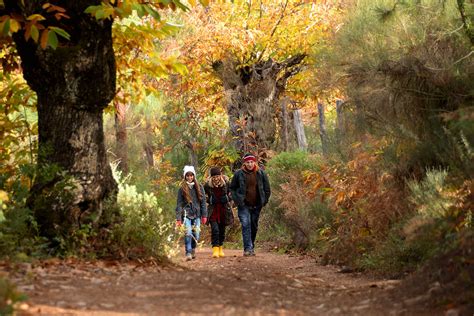 ruta de aracena|Las mejores rutas de Senderismo en Aracena,。